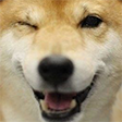 :ShibeWink: