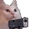 :cat_gun: :cat_gun: