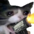 :meowscreamgun: :meowscreamgun: